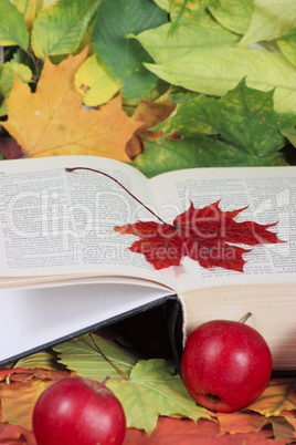 Autumn, the book, apples