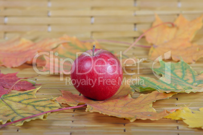 Apple autumn