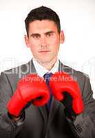 businessman with boxing gloves