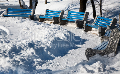 Winter landscape