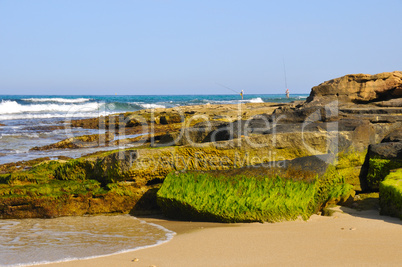 On the rocky shore