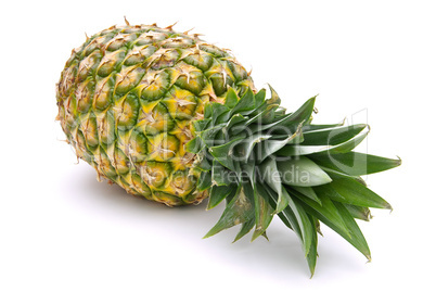 Ananas - pineapple 08