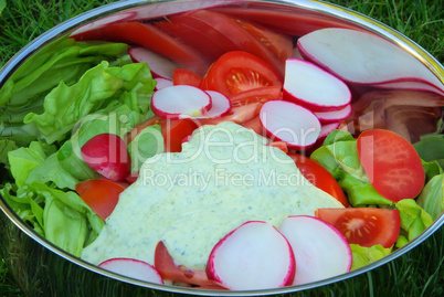 Gemischter Salat - mixed salad 05