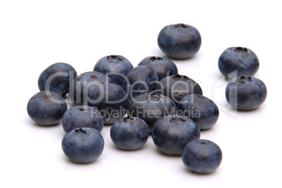 Heidelbeere - blueberry 04