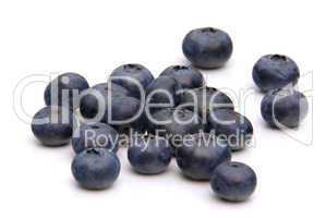 Heidelbeere - blueberry 04
