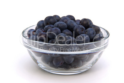Heidelbeere - blueberry 11