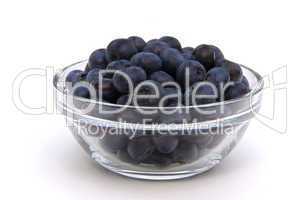 Heidelbeere - blueberry 11