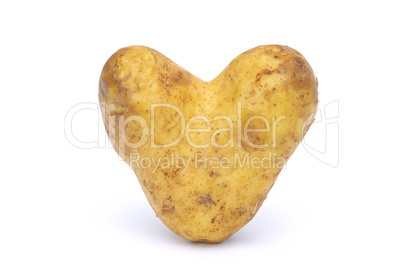 Kartoffel - potato 07
