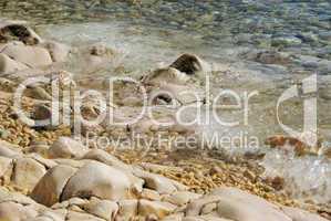 Kiesel am Strand - pebble on the beach 16