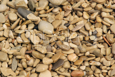 Kiesel am Strand - pebble on the beach 41