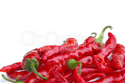 Peperoni - chile pepper 09