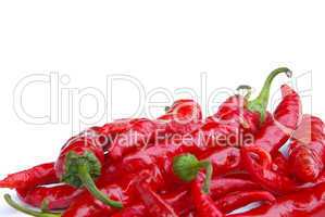 Peperoni - chile pepper 09