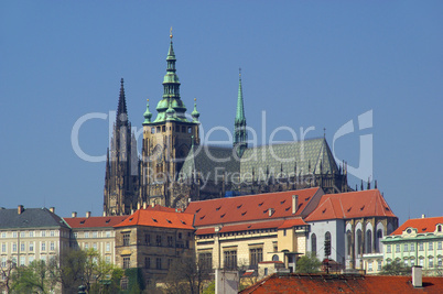 Prag Dom - Prague cathedral 02