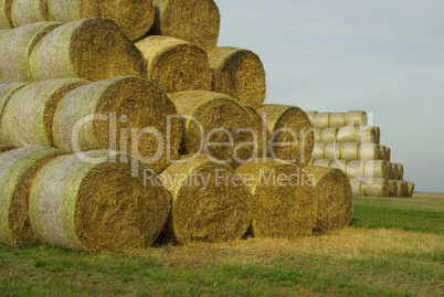 Strohballen - bale of straw 22