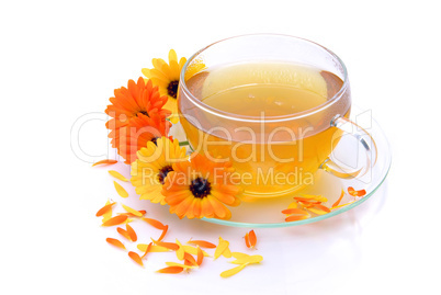 Tee Ringelblume - tea marigold 06