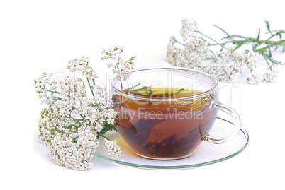 Tee Schafgarbe - tea yarrow 02