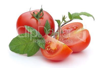 Tomate - tomato 18