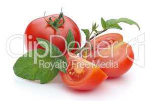 Tomate - tomato 18