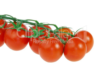 Tomate - tomato 27