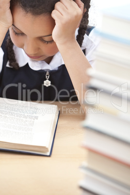 Young School Girl Reading A Book