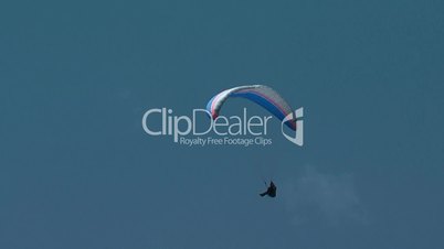 Gleitschirmflieger / Paraglider