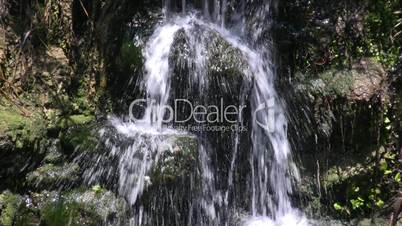 Tropischer Wasserfall