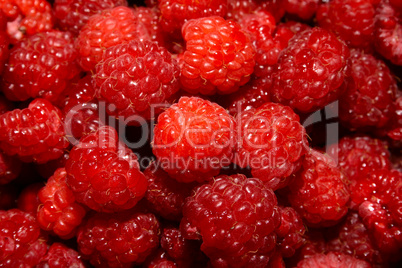 Raspberry close up