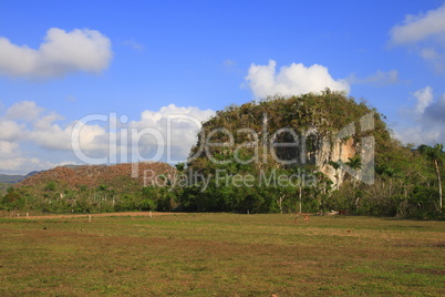 Das Vinales Tal