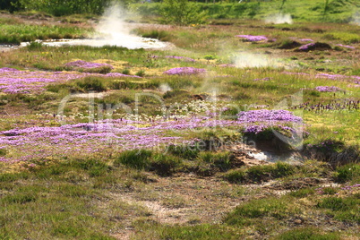 Geysir Strokkur