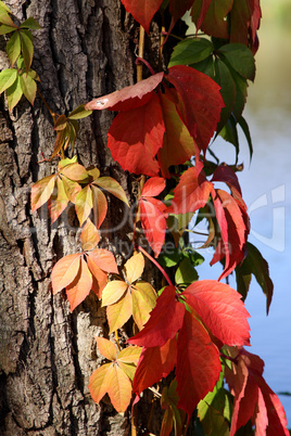 Herbstzeit