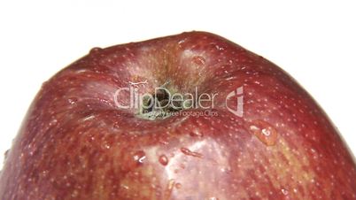 Fresh red apple close up rotating