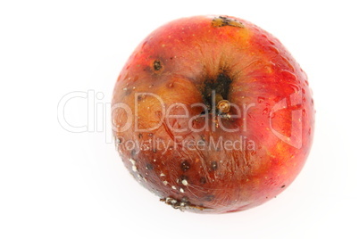 Verfaulter Apfel