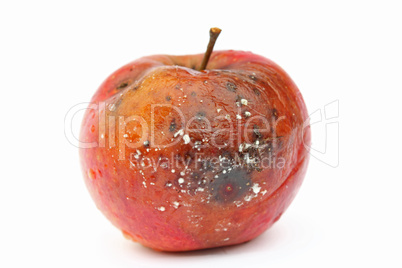 Vergammelter Apfel