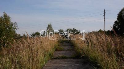 Old, destroyed road in grass field