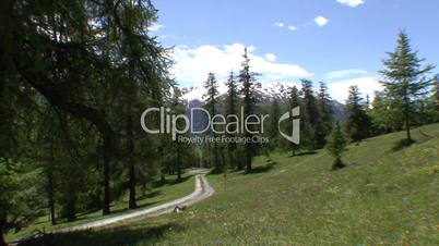 mountain panorama with hiking trail