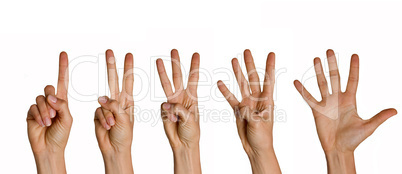 Hände zeigen die Zahlen von eins bis fünf an