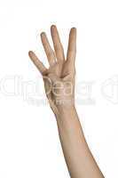 Hand zeigt mit den Fingern die Zahl 4 an
