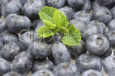 Blaubeeren