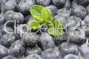 Blaubeeren