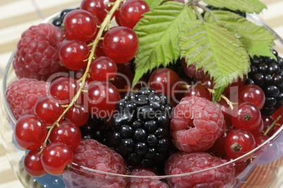 Beeren