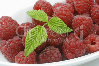 Himbeeren