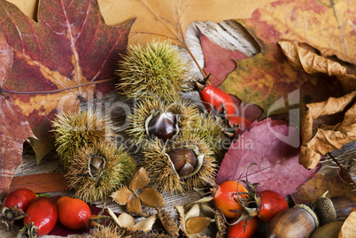 Herbst Stilleben