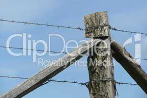 Drahtseil - wire rope 02