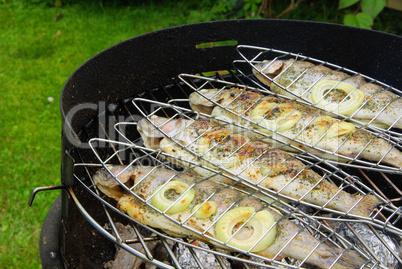 Grillen Forelle - grilling trout 07