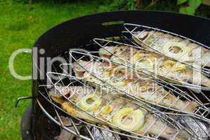 Grillen Forelle - grilling trout 07