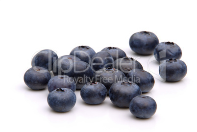 Heidelbeere - blueberry 05