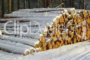Holzstapel im Winter - stack of wood in winter 01