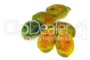 Kaktusfeige - prickly pear 03