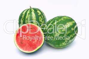 Melone - watermelon 07