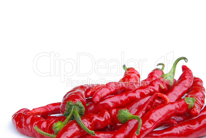 Peperoni - chile pepper 10